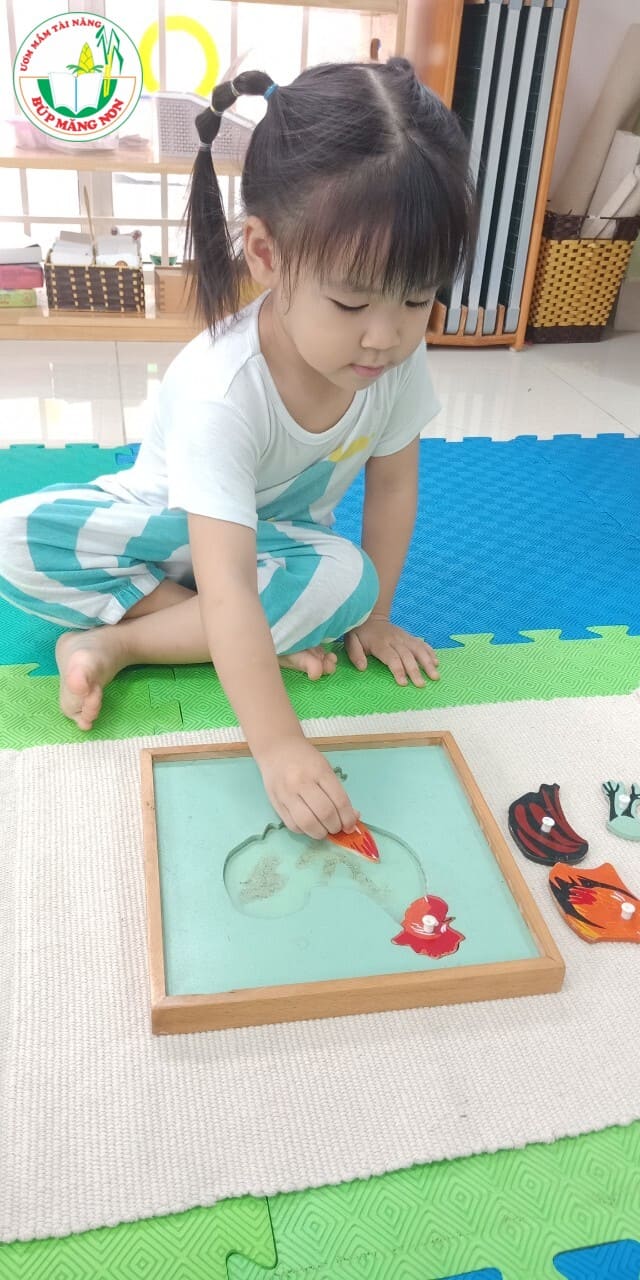 Hoạt Động Montessori Lớp Panda - TRƯỜNG MẦM NON BÚP MĂNG NON